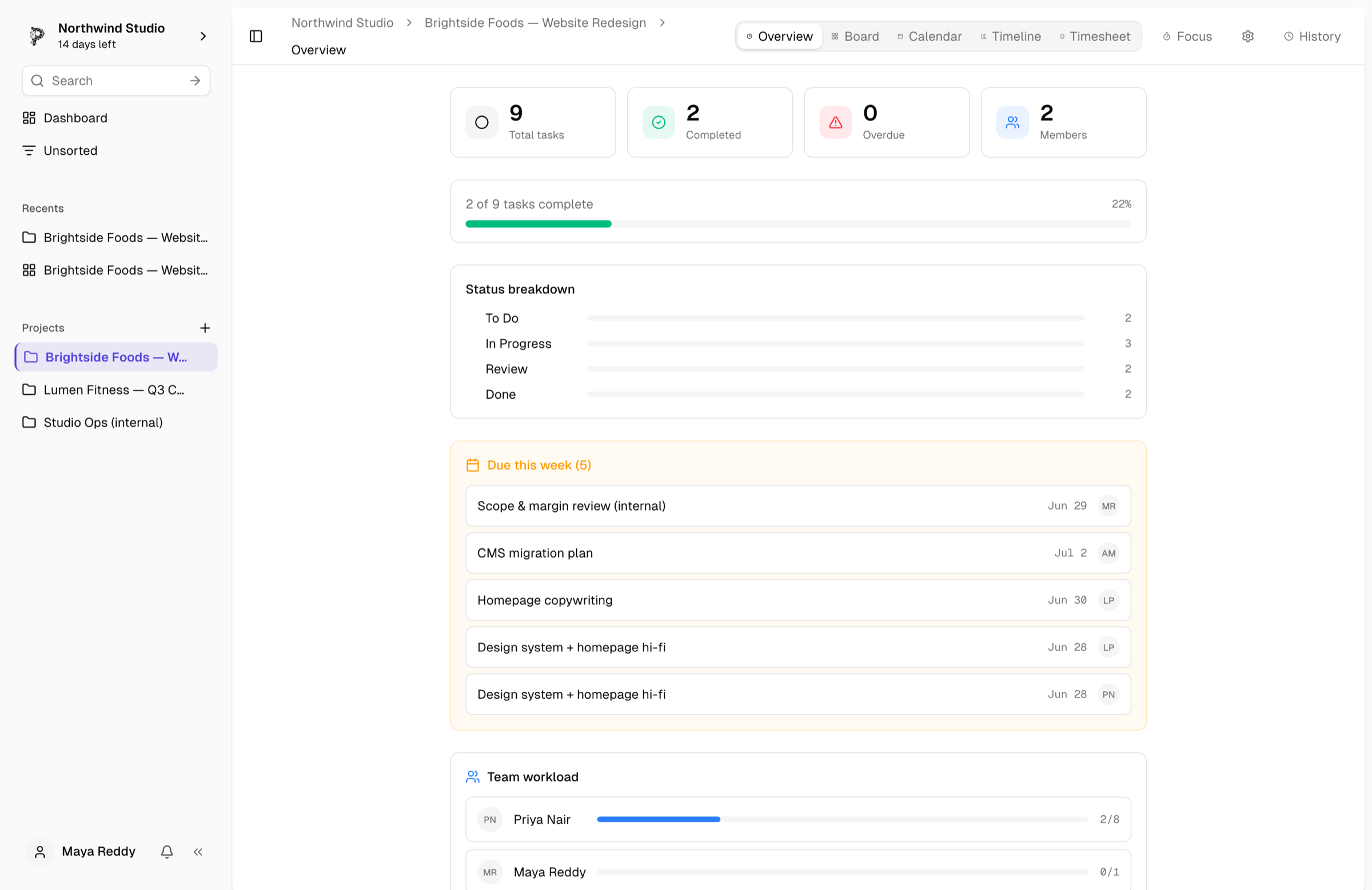 Pinrom project overview with progress and team workload